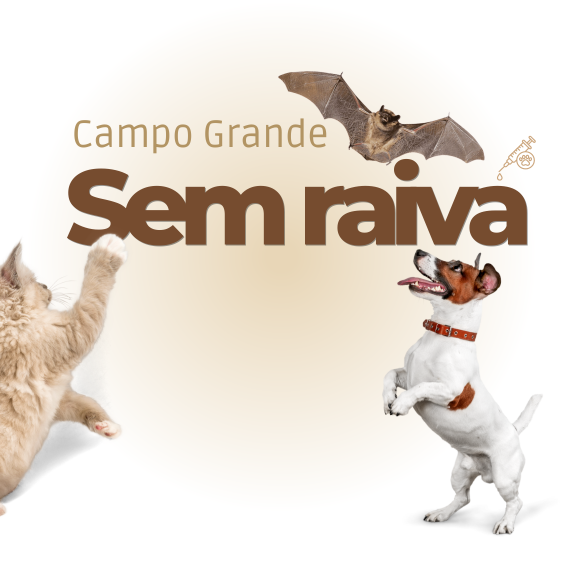 Imagem tela inicial do CG sem raiva