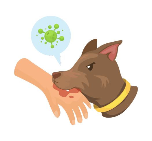 Imagem de um cachorro com raiva mordendo uma mão